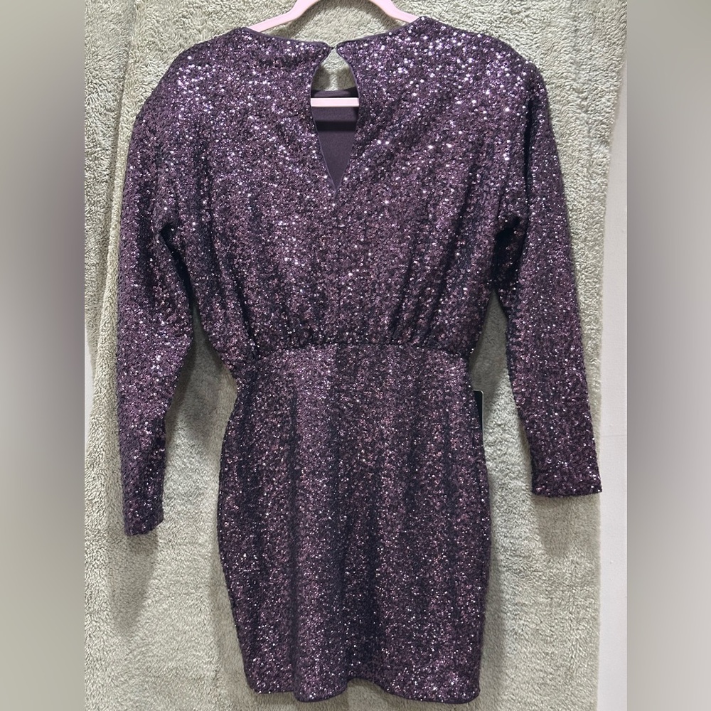 Express Sparkling Purple Long Sleeve Dress